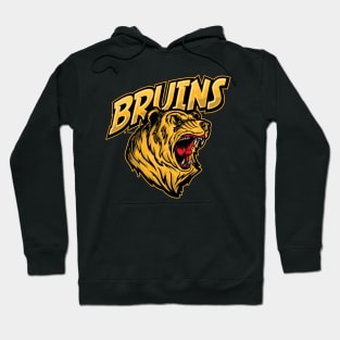 The Bruins! Hoodie